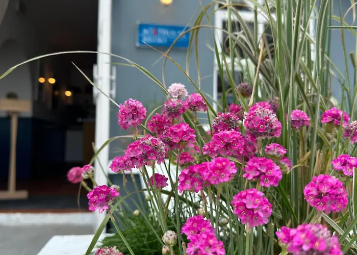 酒店 Dromquinna Manor