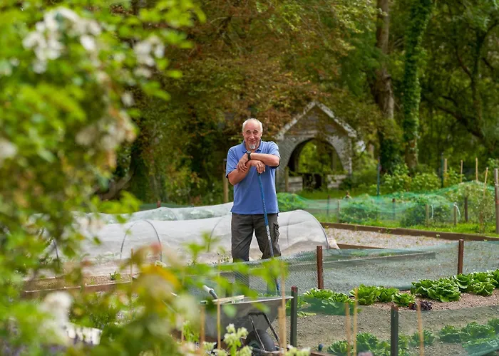 Dromquinna Manor 肯梅尔