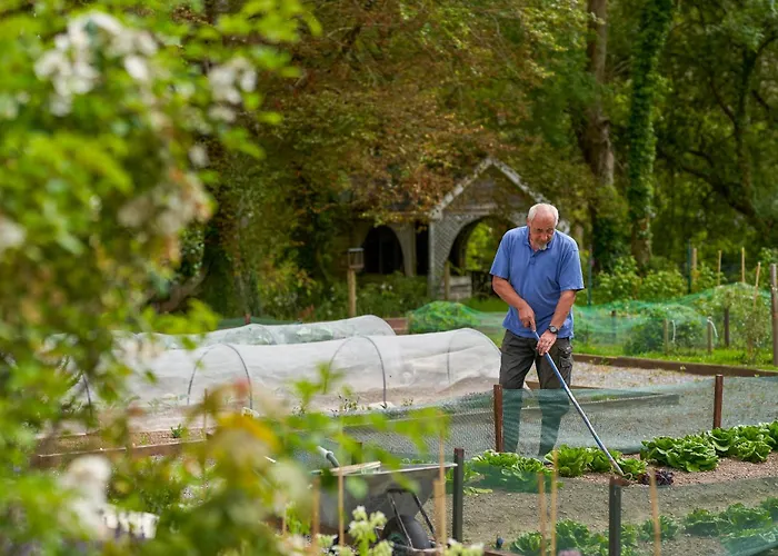 Отель Dromquinna Manor *