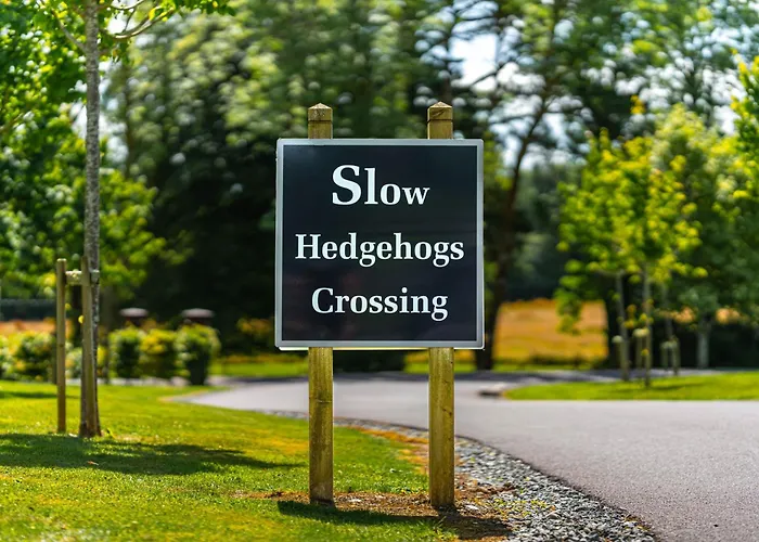 Dromquinna Manor 酒店 肯梅尔